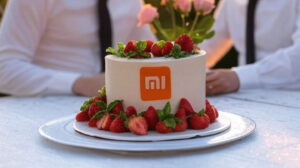 Xiaomi cake