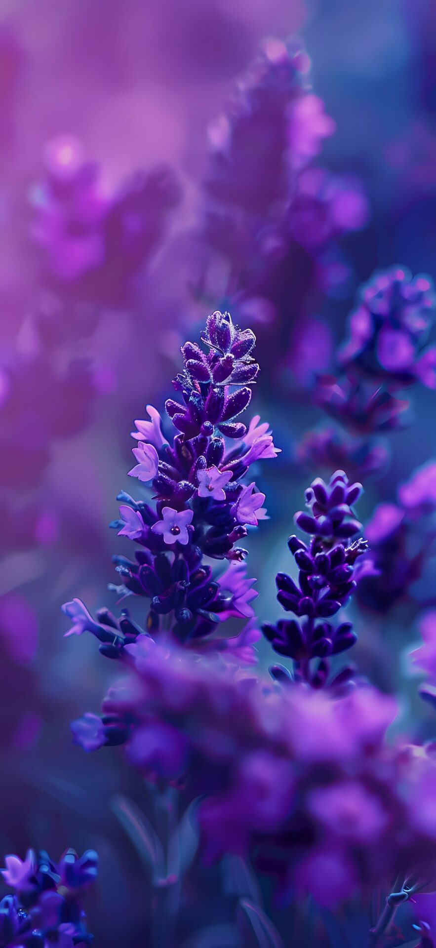 3 HyperOS-Sperrbildschirm-Setups, damit sich deine Xiaomi-Geräte hochwertig anfühlen 5 Nautral Macro Lockscreen Wallpaper